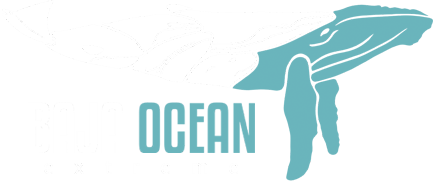 Baja Ocean Extreme Baja Ocean Extreme